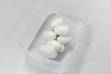 Cobra's eggs on a white background.