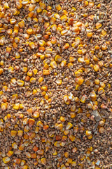 Natural grain texture background. Close-up of a grain mixture of wheat and corn (maize). Forage feed