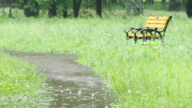 雨ふる公園のベンチ