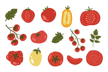 Set of red and yellow tomatoes.Cherry tomatoes, Branch, half and slice and slice tomatoes.