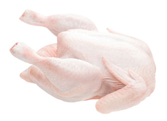 Whole raw chicken isolated PNG transparent photo. Raw chicken meat on transparent background