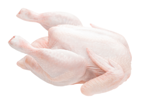 Whole raw chicken isolated PNG transparent photo. Raw chicken meat on transparent background