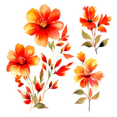 set of floral watercolor red orange, flower watercolor, leaf watercolor