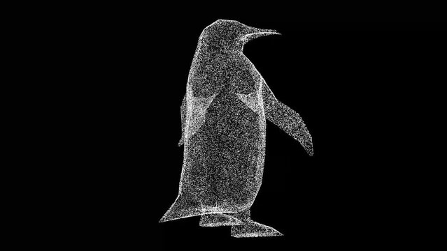 3D king penguin rotates on black background. Object made of shimmering particles. Wild animals concept. Protection of the environment. For title, text, presentation. 3d animation 60 FPS