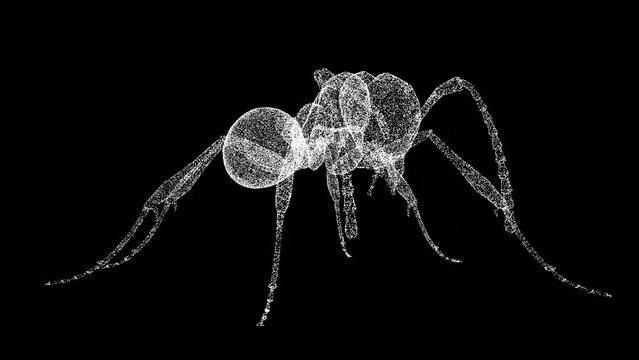 3D ant rotates on black background. Object made of shimmering particles. Wild animals concept. Protection of the environment. For title, text, presentation. 3d animation 60 FPS