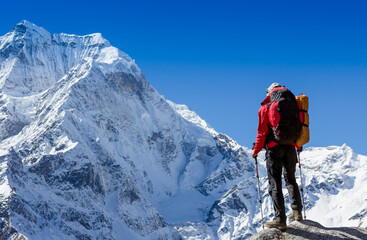 Fototapeta na wymiar Hiker on the top in Himalayas mountains. Travel sport lifestyle concept