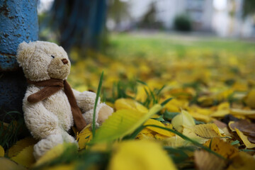 Adorable brown stuffed toy teddy bear with yellow maple leaf on head sits on dry orange leaves pile...