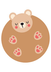 Funny teddy bear with round body