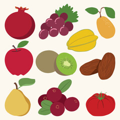 Fototapeta na wymiar Set of Fresh Winter Fruit Cute Hand Drawn Illustration