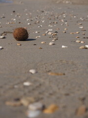 Bola en primer plano sobre la arena de la playa