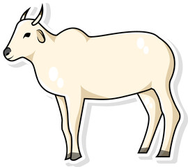 Cow Vector Illustration