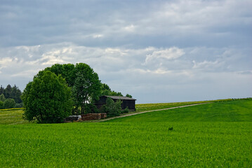 Idyllische Sommer-Landschaft mit Holzh&uuml;tte