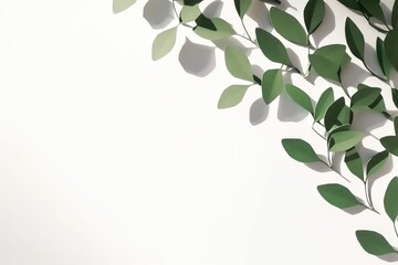 Blank space in natural background with shadow leaves. Generative AI