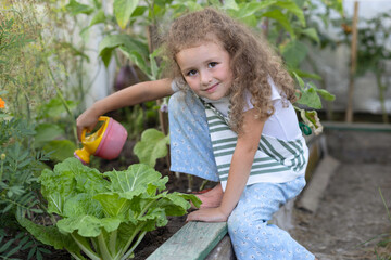 little cute girl farmer pour from a watering can in greenhouse. kid gardening harvesting. Adorable child growing bio plants in farm garden. healthy organic vegetables concept