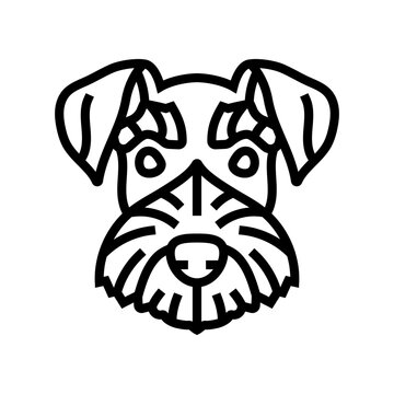 miniature schnauzer dog puppy pet line icon vector. miniature schnauzer dog puppy pet sign. isolated contour symbol black illustration