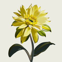 Fototapeta na wymiar yellow flower isolated on white