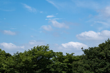 Fototapeta na wymiar 夏、梅雨明け、さわやかな晴天の青空と折り重なったふわふわの積乱雲、新緑の森林、山の木々の背景　夏休み・天気・アウトドア・旅行・バカンスのイメージ