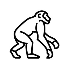 primate ancestors human evolution line icon vector. primate ancestors human evolution sign. isolated contour symbol black illustration