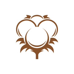 Cotton icon for 100 organic soft fabric, vector cotton flower ball line pictogram. Eco textile and bio natural label, cotton flower outline symbol for agriculture fiber or organic eco clothing