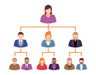 Hierarchy in company or organizational chart with people icons. Men and woman portrait. Branched structure template. Visualization business model. Cartoon flat isolated png concept - obrazy, fototapety, plakaty