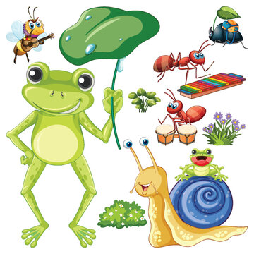 Insects Frog and Snail Set