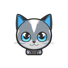 cat with eyes