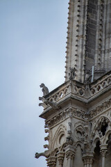 Fototapeta premium Notre Dame de Paris, Francia