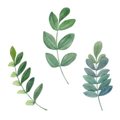 Hand drawn watercolor indigo plant flowers and leaves, coloring dye, for hobby, handmade fabric. Illustration isolated object on white background. Shop logo, print, website, business card, booklet