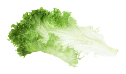 Fresh green lettuce leaf isolated on white