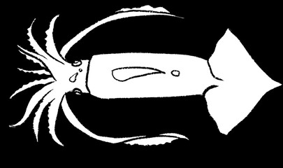 White squid painting and BBQ squid painting