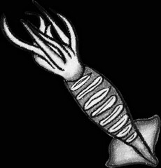 White squid painting and BBQ squid painting