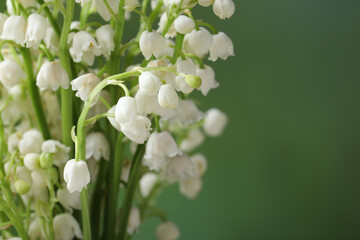 Beautiful lily of the valley flowers on blurred green background, closeup. Space for text