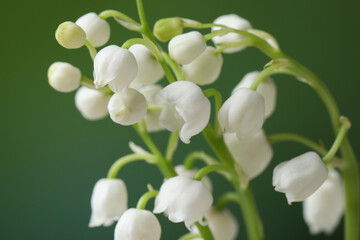 Fototapeta na wymiar Beautiful lily of the valley flowers on blurred green background, closeup