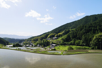Obraz premium Early summer in a farming village, terraced paddy fields and rice paddies with beautiful blue sky and sunshine