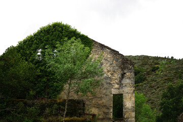 Fototapeta na wymiar Ruins of abandoned stone house covered by green vegetation 