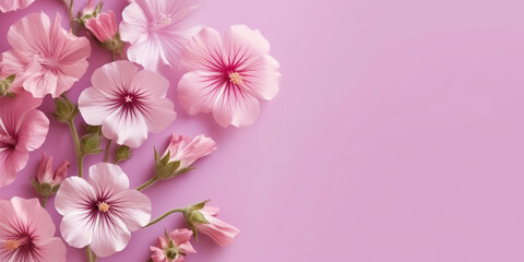 Naklejka na ściany i meble Mallow nature pink flower on bowl, copy space background, Generative AI