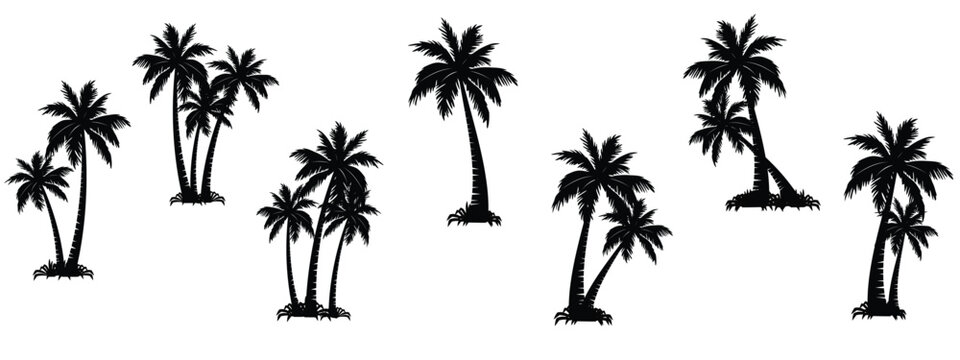 Palm tree silhouette vector eps 10