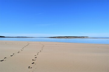 Footprints on the Beach at Inverloch