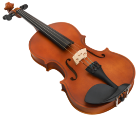 Violin isolated