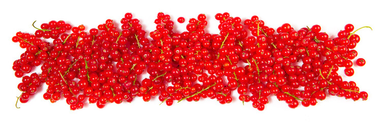 Red Currants Panorama isolated on white Background