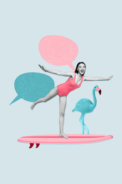 Vertical collage image of black white effect girl stand one leg surfing board dialogue bubble flamingo bird isolated on creative background