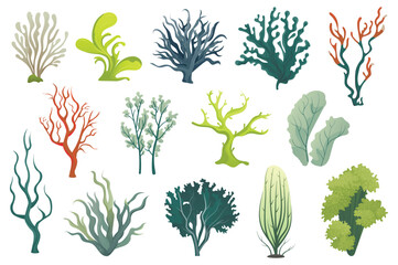 Algae set. This illustration set features flat, cartoon-style designs of various types of algae. Vector illustration.