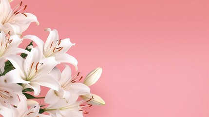Beauty flower banner with blooming white lilies on pink gradient background. Oriental floral background for presentation, promotional sales or cosmetics advertising. Copy space, generative AI