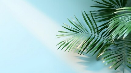 Fototapeta na wymiar Palm leaves on the light blue wall. Minimal abstract background for product presentation, generative AI