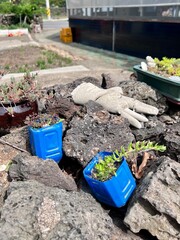 gardening tools on the beach