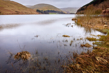 In March, a view south across Loch of the Lowes from Tibbie Shiels Inn. Dumfries and Galloway, Borders, Scotland