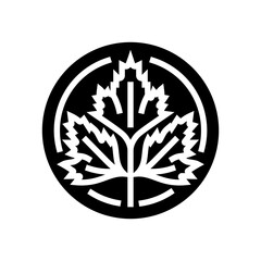 cilantro cosmetic plant glyph icon vector. cilantro cosmetic plant sign. isolated symbol illustration