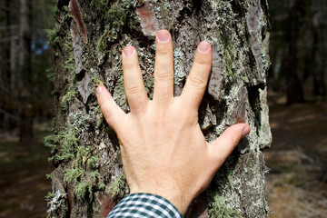 Man's hand touching tree trunk. Concept of being in touch with nature.