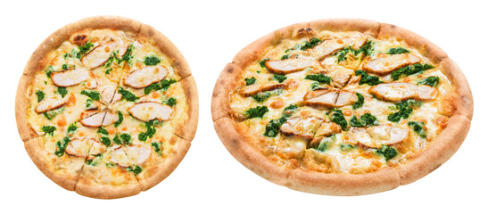 Delicious pizza with chicken fillet, mozarella, garlic sauce and spinach, cut out
