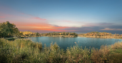 Fototapeta na wymiar Old pond, lake, in the forest, summer 
